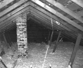 Picture of attic taken at night with bat camera 