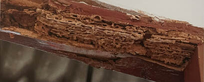 wood door frame damaged by termites 
